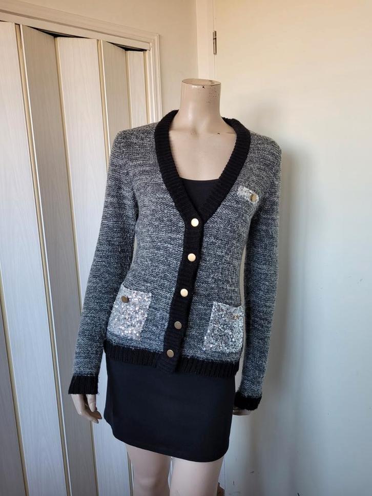 Geisha vest wolblend grijs maat S/36, Kleding | Dames, Truien en Vesten, Zo goed als nieuw, Maat 36 (S), Grijs, Ophalen of Verzenden