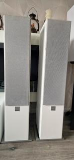 Dali Zensor 5 Front Speakers - Kristalhelder Geluid!, Audio, Tv en Foto, Ophalen of Verzenden