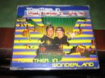 CD Maxi Single Charly Lownoise & Mental Theo 3x, Ophalen of Verzenden, Pop