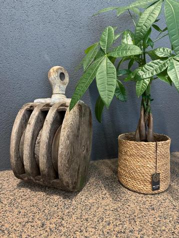 Originele Scheepskatrol – 3 schijven – 14kg beschikbaar voor biedingen