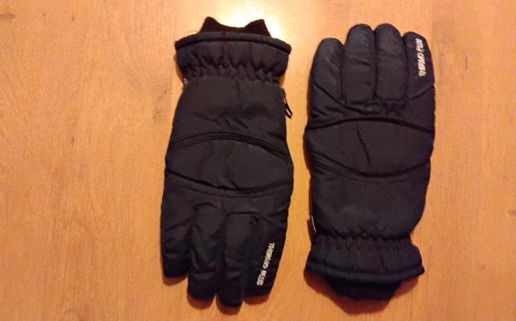 Ski handschoenen, Kleding | Heren, Wintersportkleding, Nieuw, Overige typen, Maat 52/54 (L), Ophalen of Verzenden