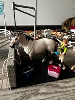 Schleich Wasbox - Paardenverzorging, Ophalen, Gebruikt, Jongen of Meisje