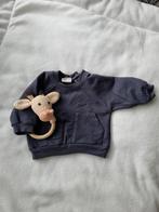 Riffle Amsterdam trui maat 50, Kinderen en Baby's, Babykleding | Maat 50, Ophalen of Verzenden, Zo goed als nieuw