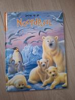 Dieren op de Noordpool - Kinderboek, Ophalen of Verzenden, Gelezen, Pascale Valérie d'Auria, Non-fictie