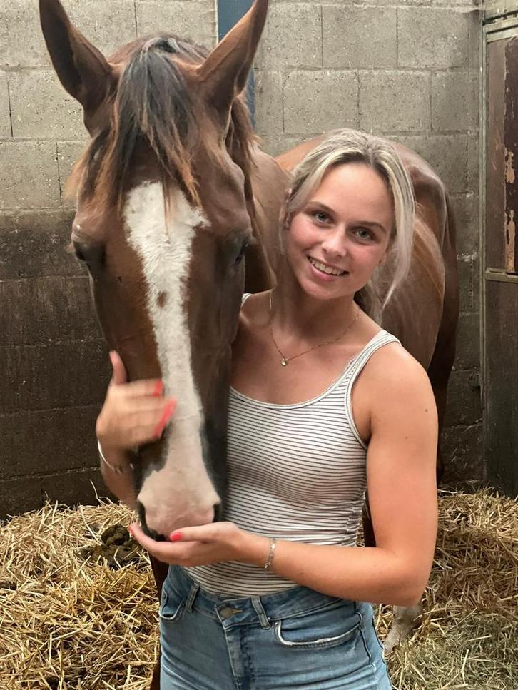 Paardij-instructie op maat, Diensten en Vakmensen, Dieren | Paarden | Verzorging, Oppas en Les, Paardrijles of Ponykampen