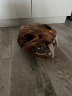 Hand gemaakte sebeltand tijger masker, Ophalen, Nieuw, Accessoires