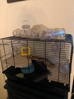 Hamsterkooi, Dieren en Toebehoren, Kooi, Minder dan 75 cm, Minder dan 60 cm, Hamster