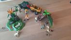 Playmobil Dino expeditie, Ophalen of Verzenden, Gebruikt, Los playmobil