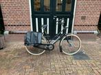 Geheel originele jaren 80 Gazelle damesfiets., Ophalen, 53 tot 56 cm, Versnellingen, Zo goed als nieuw