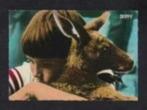 Skippy de Boskangoeroe Televisieprogramma (1), Ophalen of Verzenden, 1960 tot 1980, Gelopen, Cultuur en Media