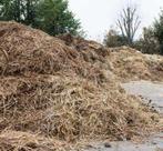 gratis paardenmest, Ophalen, Mest