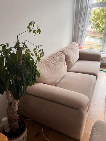Sofa (235x100cm)