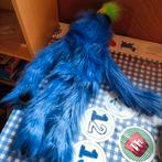 Blue monster handpop The Puppet Company puppet, Ophalen of Verzenden