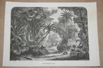 Antieke gravure - Landschap op Java - 1874 !!, Ophalen of Verzenden