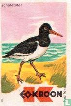 Luciferetiket Kroon - Scholekster, Ophalen of Verzenden, Zo goed als nieuw, Luciferdoosjes of -merken