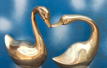 Zwaan. Zwanenpaar.  Messing. Ca 1970. ..15 & 14 cm. beschikbaar voor biedingen
