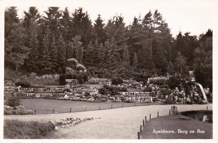 03226 Apeldoorn - Berg en Bos, Verzamelen, Ansichtkaarten | Nederland, Ongelopen, Gelderland, 1940 tot 1960, Verzenden