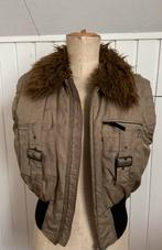 Bodywarmer MEXXSPORT 40, Ophalen of Verzenden, Zo goed als nieuw, Maat 38/40 (M)