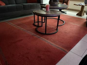 Wollen vloerkleed 200x 300 cm. beschikbaar voor biedingen