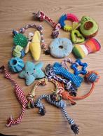 Hollandse Herder x Mechelaar - Cattle Dog Pup, Parvo, 8 tot 15 weken, Meerdere, Meerdere dieren