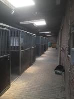 paarden stalling, Dieren en Toebehoren, Stalling en Weidegang, Stalling, 1 paard of pony
