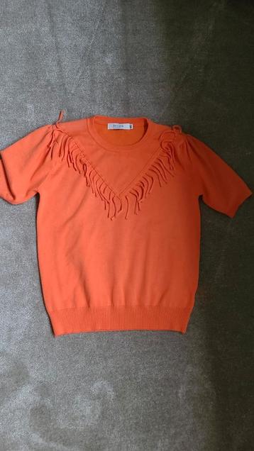 Oranje truitje beschikbaar voor biedingen