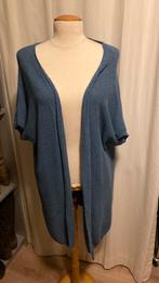 Jeans kleurig blauw vest. Maat M/L., Ophalen of Verzenden, Zo goed als nieuw, Maat 38/40 (M), Blauw