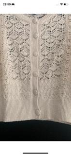 Nieuwe schitterende top truitje katoen maar S, Kleding | Dames, Tops, Overige kleuren, Nieuw, Ophalen of Verzenden, Korte mouw