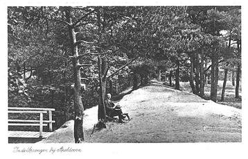 960099	Apeldoorn	de Sprengen	1934	 Zegel verwijderd          beschikbaar voor biedingen