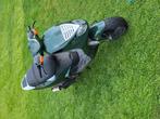 Piaggio nrg, Fietsen en Brommers, Scooters | Piaggio, Ophalen, Zo goed als nieuw, Tweetakt, NRG