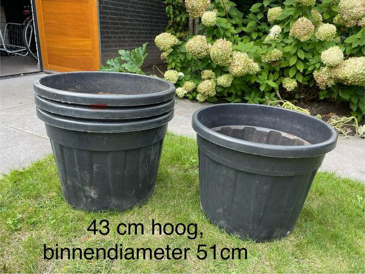 Kweekpotten 51cm diameter, 43 cm hoog en 37cm bij 27cm, Tuin en Terras, Kweekspullen, Gebruikt, Kweekbak, Ophalen of Verzenden