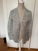 Fluffy vest dames - Maat M - Grijs/Wit, Ophalen of Verzenden, Gedragen, Maat 38/40 (M), Grijs