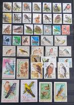 POSTZEGELS VOGELS WERELD GESTEMPELD, Postzegels en Munten, Postzegels | Thematische zegels, Verzenden, Gestempeld, Dier of Natuur