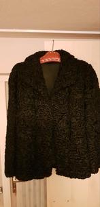 Prachtige  Persianer Bontjas Maat 40, Ophalen of Verzenden, Zo goed als nieuw, Maat 38/40 (M), Zwart