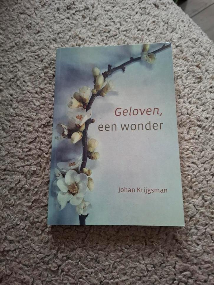 Geloven, een wonder, Boeken, Godsdienst en Theologie, Zo goed als nieuw, Ophalen of Verzenden