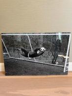 Johan Cruyff foto 1971, Verzamelen, Sportartikelen en Voetbal, Ophalen, Nieuw, Ajax, Poster, Plaatje of Sticker