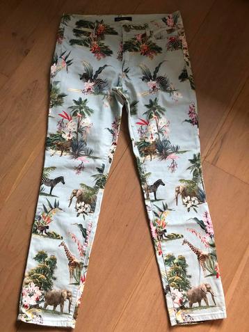 Aparte Marccain broek mt N4 (40) beschikbaar voor biedingen