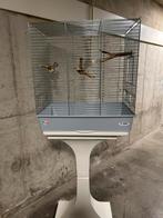 Grote vogelkooi, Dieren en Toebehoren, Ophalen of Verzenden, Zo goed als nieuw, Metaal, Vogelkooi