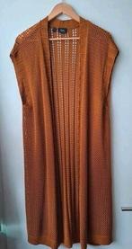 Lang gebreid vest/gilet bruin mt 44/46, Bruin, Maat 42/44 (L), Ophalen of Verzenden, Zo goed als nieuw