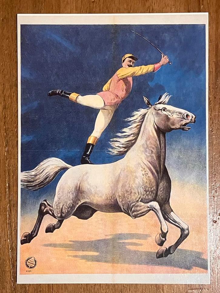 Adolph Friedländer - Circus Prentkaart - Voltigeur, 1908, Verzamelen, Ansichtkaarten | Themakaarten, Ongelopen, 1980 tot heden