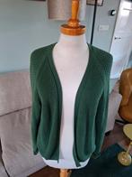 Sissy Boy vestje maat S, Kleding | Dames, Sissy-Boy, Ophalen of Verzenden, Zo goed als nieuw, Maat 36 (S)