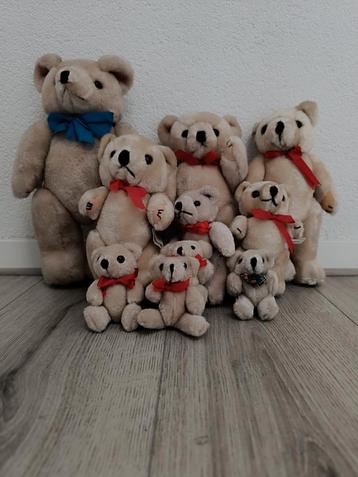 10 beren!  beschikbaar voor biedingen