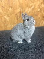 Rasechte Kleurdwerg Chinchilla (dwergkonijn), Dieren en Toebehoren, Konijnen, Mannelijk, Dwerg, 0 tot 2 jaar