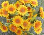 OPRUIMING ZONNENBLOEM - KUNST - 5 BLOEMEN VAN 3,50 NU 2 EURO