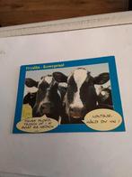 FRYSLAN- KOWEPRAAT. 1993, Ophalen of Verzenden, 1980 tot heden