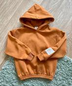TE KOOP: mooie hoodie van Zara voor jongen maat 134 ZGAN, Kinderen en Baby's, Kinderkleding | Maat 134, Ophalen of Verzenden, Zo goed als nieuw
