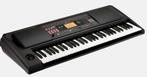 Korg EK50 Limitless met zwaardere ingebouwde versterker, Ophalen, 61 toetsen, Korg, Zo goed als nieuw