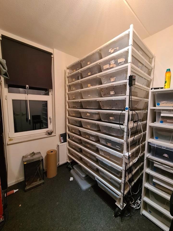 Amerikaanse v70 rack met thermostaat en kabel, Dieren en Toebehoren, Reptielen en Amfibieën | Toebehoren, Gebruikt, Overige typen