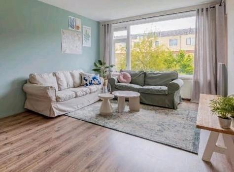 Ikea Ektorp banken: 3-zits en 2-zits, Huis en Inrichting, Banken | Bankstellen, Gebruikt, 200 tot 250 cm, 75 tot 100 cm, Ophalen