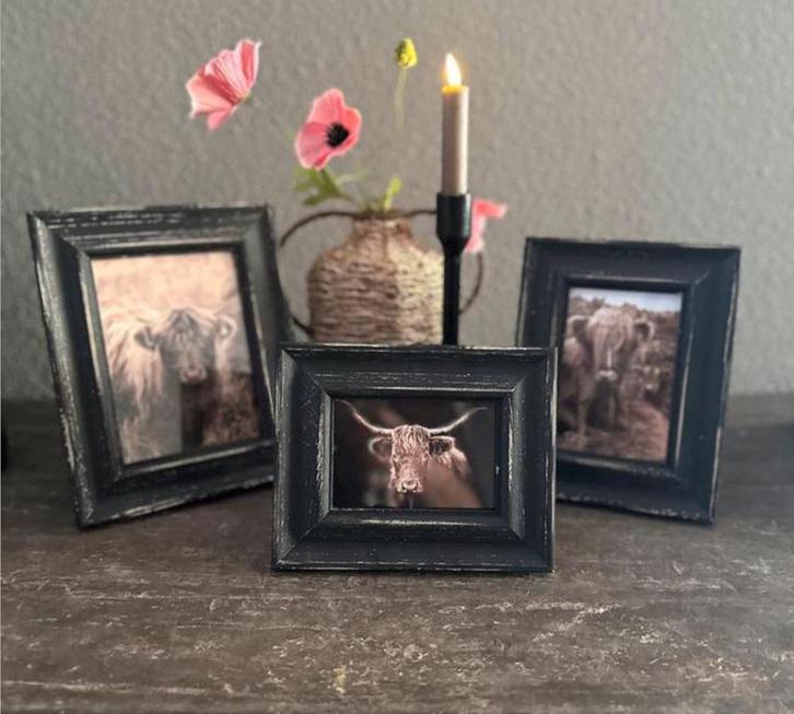 Fotolijst hooglander SALE, Huis en Inrichting, Woonaccessoires | Lijsten, Nieuw, Ophalen of Verzenden